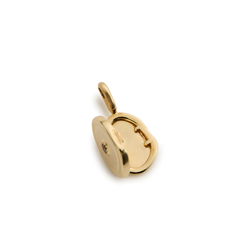 Premium Intention Locket - Manifest Your Desires