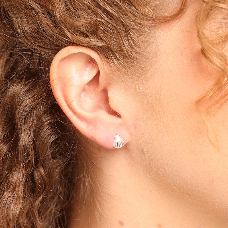 Premium Cockle Bay Sterling Silver Stud Earrings