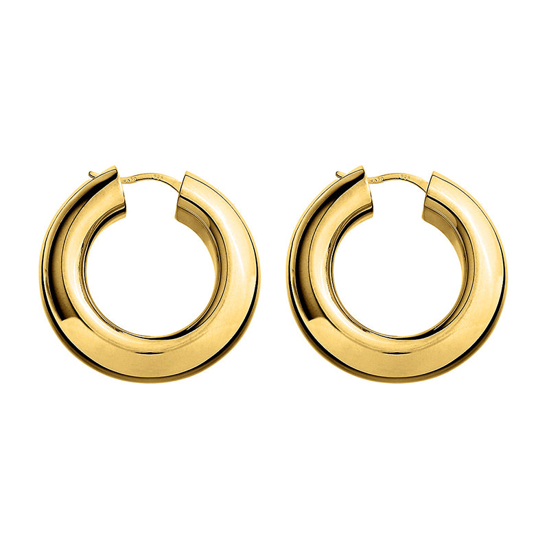 Premium Panorama Hoop Earrings